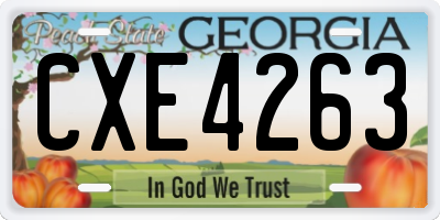 GA license plate CXE4263