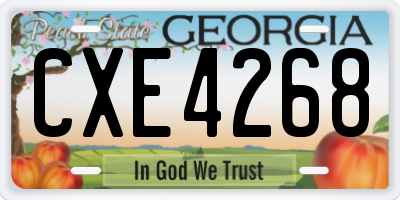 GA license plate CXE4268