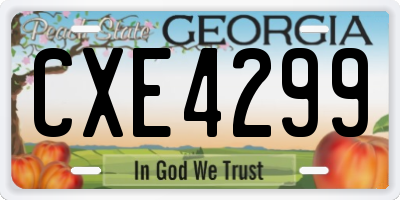 GA license plate CXE4299