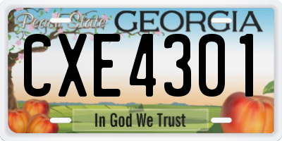 GA license plate CXE4301