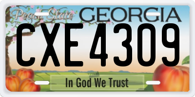 GA license plate CXE4309