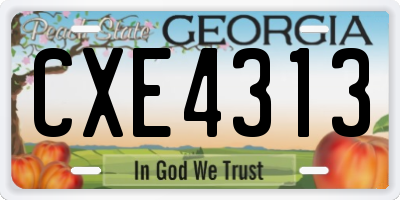 GA license plate CXE4313