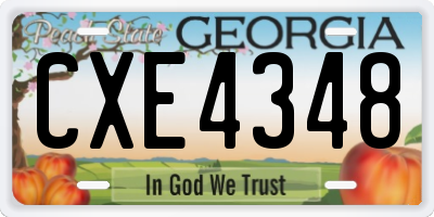 GA license plate CXE4348