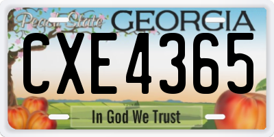GA license plate CXE4365