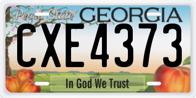 GA license plate CXE4373
