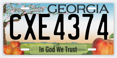 GA license plate CXE4374