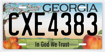 GA license plate CXE4383