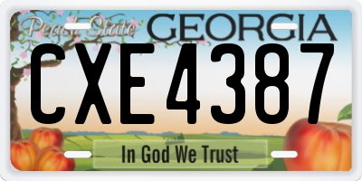GA license plate CXE4387