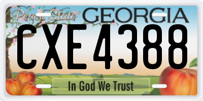GA license plate CXE4388