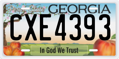 GA license plate CXE4393