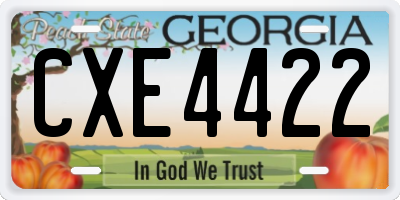 GA license plate CXE4422
