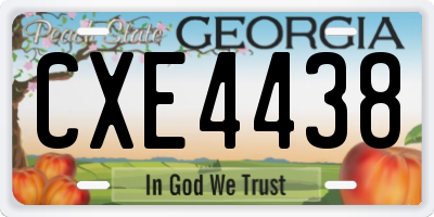 GA license plate CXE4438