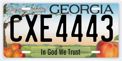 GA license plate CXE4443