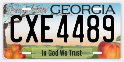 GA license plate CXE4489