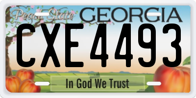 GA license plate CXE4493