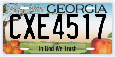 GA license plate CXE4517