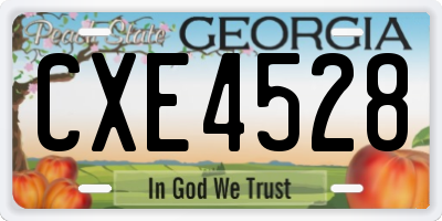 GA license plate CXE4528