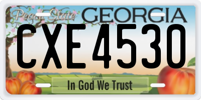 GA license plate CXE4530