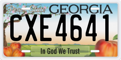 GA license plate CXE4641
