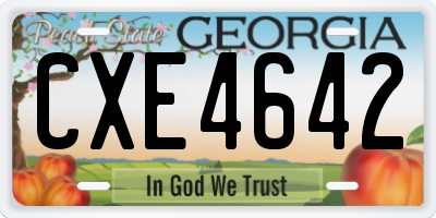 GA license plate CXE4642