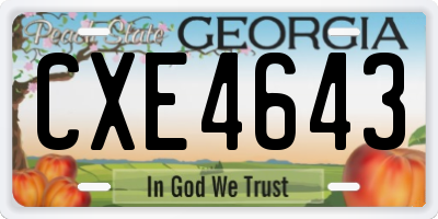 GA license plate CXE4643
