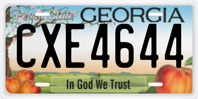 GA license plate CXE4644
