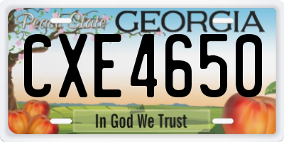 GA license plate CXE4650