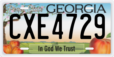 GA license plate CXE4729
