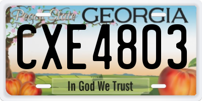 GA license plate CXE4803