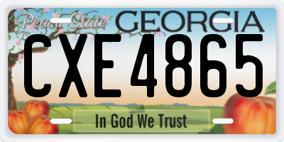 GA license plate CXE4865