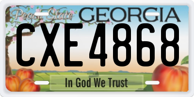 GA license plate CXE4868