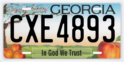 GA license plate CXE4893