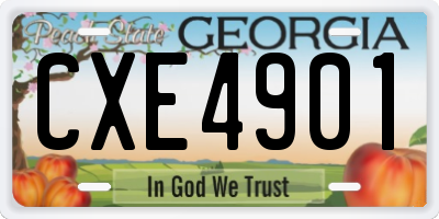GA license plate CXE4901