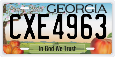 GA license plate CXE4963
