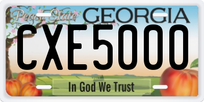GA license plate CXE5000