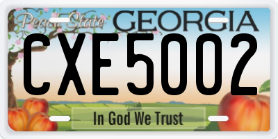 GA license plate CXE5002