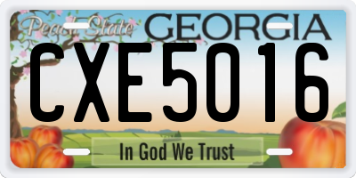 GA license plate CXE5016