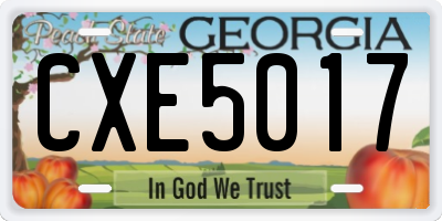 GA license plate CXE5017