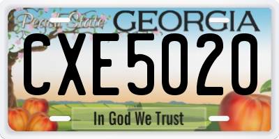 GA license plate CXE5020