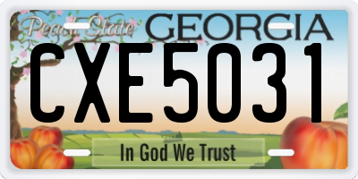 GA license plate CXE5031