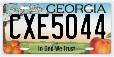 GA license plate CXE5044