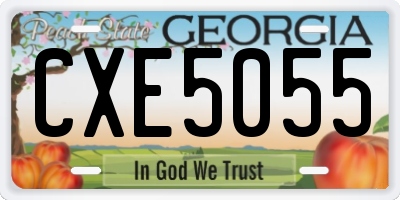 GA license plate CXE5055
