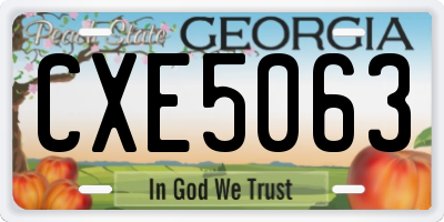 GA license plate CXE5063