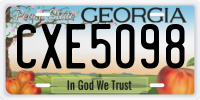 GA license plate CXE5098