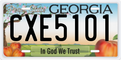 GA license plate CXE5101