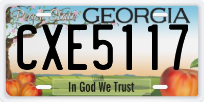 GA license plate CXE5117