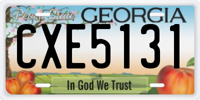GA license plate CXE5131