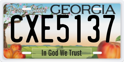 GA license plate CXE5137