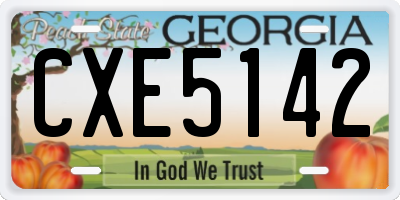 GA license plate CXE5142