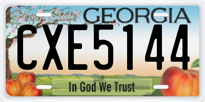 GA license plate CXE5144